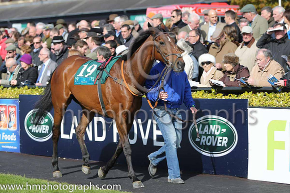 20th Mrs Mac Veale ( 19 , red, white diabolo ) and B. Hayes (3) - Trainer : Gavin Dower - Owner : P. Corkery