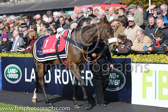 03rd The Game Changer ( 1 , maroon, white star ) and - Trainer : Gordon Elliott - Owner : Gigginstown House Stud