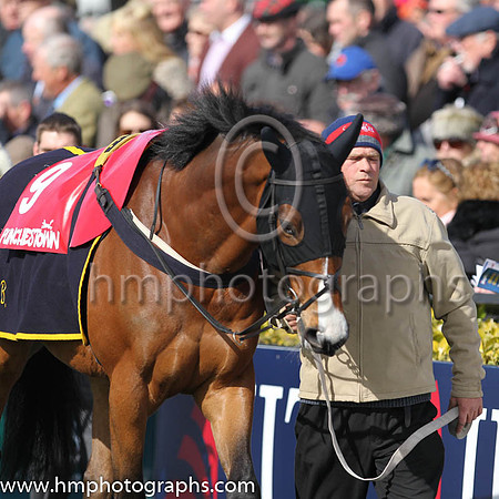 15th Henry Higgins ( 9 , orange and green hoops ) and M.P. Walsh - Trainer : Charles O'Brien - Owner : John P. McManus