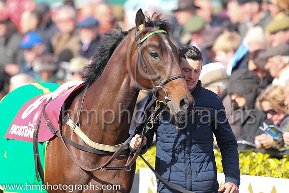 12th Cliff House ( 8 , white, red braces ) and B.T. O'Connell - Trainer : John J. Walsh - Owner : T.J. Ward