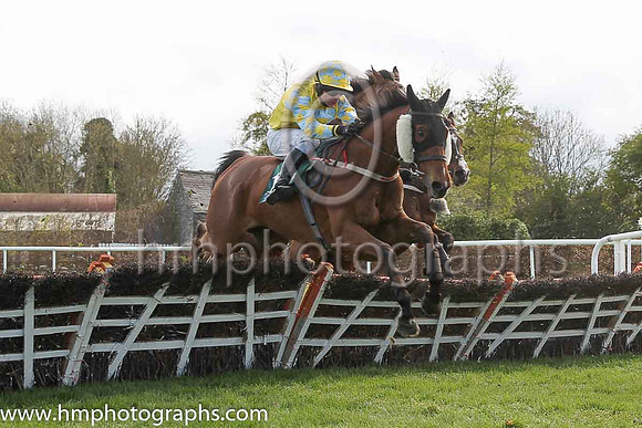 14th Xsquared ( 17 , yellow, green hollow box ) and - Trainer : Sabrina J. Harty - Owner : The Adders Partnership