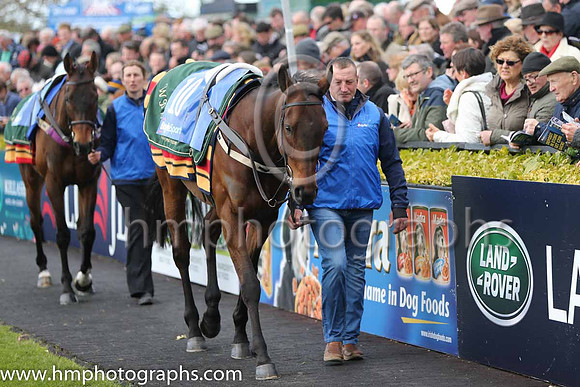 06th Twinlight (FR) ( 10 , orange ) and P. Townend - Trainer : W.P. Mullins - Owner : M.L. Bloodstock Limited
