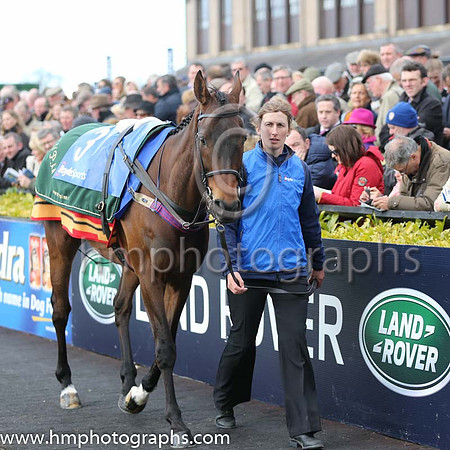 01st Felix Yonger ( 3 , black and buff halvd ) and D.E. Mullins - Trainer : W.P. Mullins - Owner : Andrea Wylie/Graham Wylie