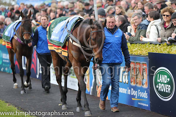 06th Twinlight (FR) ( 10 , orange ) and P. Townend - Trainer : W.P. Mullins - Owner : M.L. Bloodstock Limited