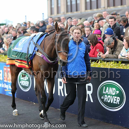 01st Felix Yonger ( 3 , black and buff halvd ) and D.E. Mullins - Trainer : W.P. Mullins - Owner : Andrea Wylie/Graham Wylie