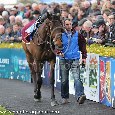 BoyleSports Champion Steeplechase (Grade 1)