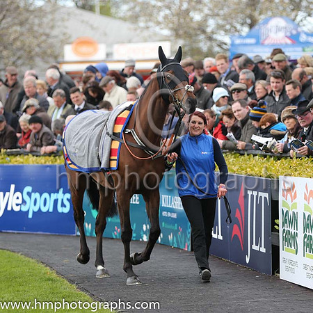 BoyleSports Champion Steeplechase (Grade 1)