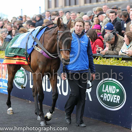 01st Felix Yonger ( 3 , black and buff halvd ) and D.E. Mullins - Trainer : W.P. Mullins - Owner : Andrea Wylie/Graham Wylie