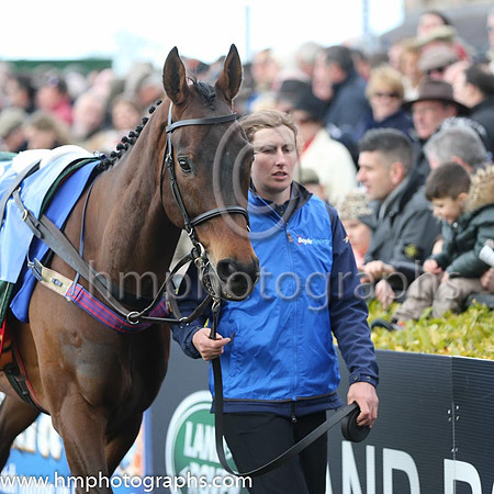 01st Felix Yonger ( 3 , black and buff halvd ) and D.E. Mullins - Trainer : W.P. Mullins - Owner : Andrea Wylie/Graham Wylie