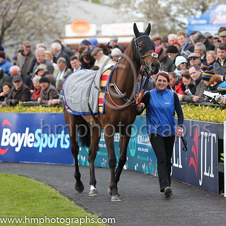 BoyleSports Champion Steeplechase (Grade 1)