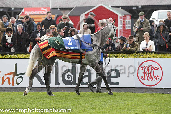 05th Champagne Fever ( 2 , pink, light green stars ) and R. Walsh - Trainer : W.P. Mullins - Owner : Mrs S Ricci