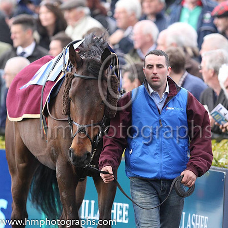 Boylesports Champion Steeplechase (Grade 1)