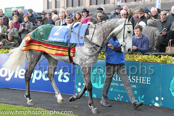 05th Champagne Fever ( 2 , pink, light green stars ) and R. Walsh - Trainer : W.P. Mullins - Owner : Mrs S Ricci
