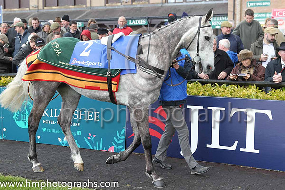 05th Champagne Fever ( 2 , pink, light green stars ) and R. Walsh - Trainer : W.P. Mullins - Owner : Mrs S Ricci