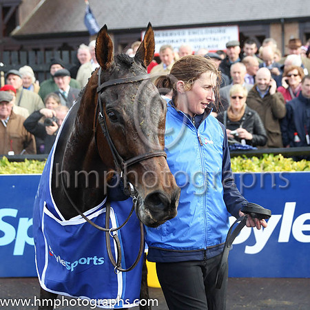 01st Felix Yonger ( 3 , black and buff halvd ) and D.E. Mullins - Trainer : W.P. Mullins - Owner : Andrea Wylie/Graham Wylie