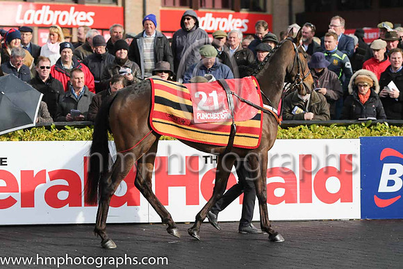 16th Wingoldandwearit ( 21 , red and pink chevrons ) and - Trainer : Ms. Sandra Hughes - Owner : Ms. A. Lalor