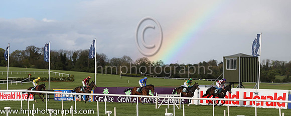 Goffs Land Rover Bumper INH Flat Race at Punchestown
