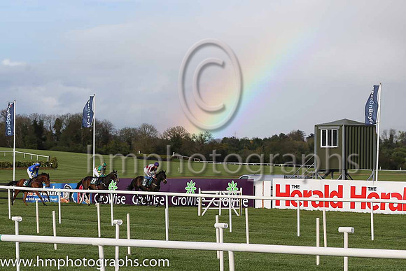 Goffs Land Rover Bumper INH Flat Race at Punchestown