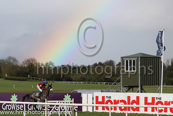 Goffs Land Rover Bumper INH Flat Race at Punchestown