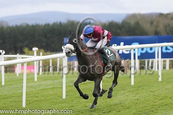 01st Petit Mouchoir (FR) ( 12 , maroon, white star ) and J J Codd - Trainer : Gordon Elliott - Owner : Gigginstown House Studd