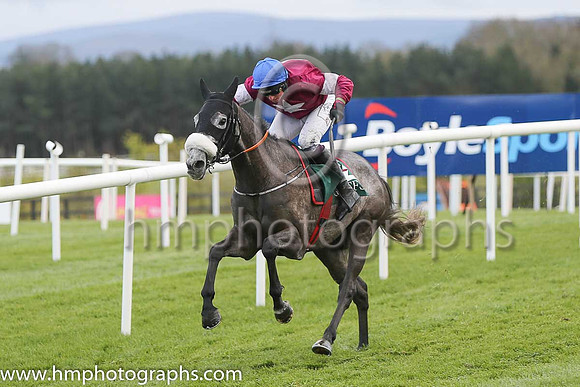 Petit Mouchoir &amp; J J Codd win R5 Goffs Land Rover Bumper INH Flat Race at Punchestown on 28 April 2015