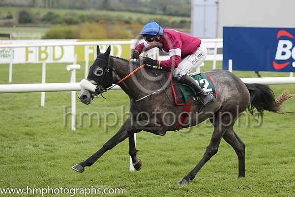 01st Petit Mouchoir (FR) ( 12 , maroon, white star ) and J J Codd - Trainer : Gordon Elliott - Owner : Gigginstown House Stud