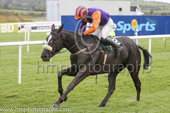 15th Rory's Valentine ( 22 , orange and purple hlvd ) and N. McParlan (5) - Trainer : J.Larkin - Owner : E.Kavanagh