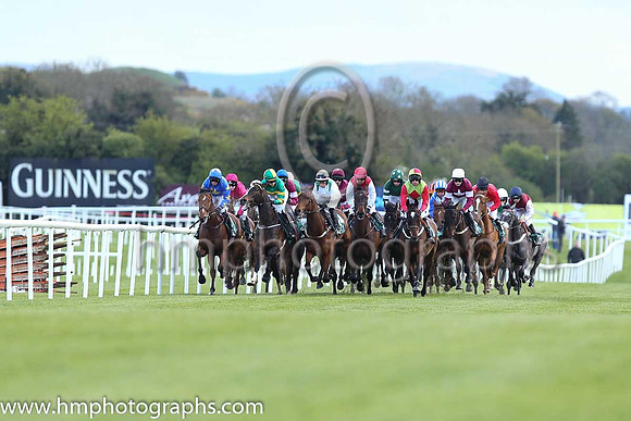 Goffs Land Rover Bumper INH Flat Race at Punchestown