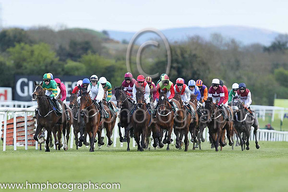 Goffs Land Rover Bumper INH Flat Race at Punchestown