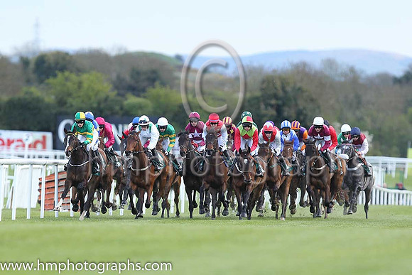 Goffs Land Rover Bumper INH Flat Race at Punchestown