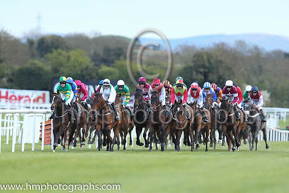 Goffs Land Rover Bumper INH Flat Race at Punchestown