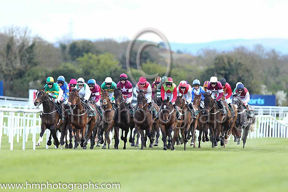 Goffs Land Rover Bumper INH Flat Race at Punchestown