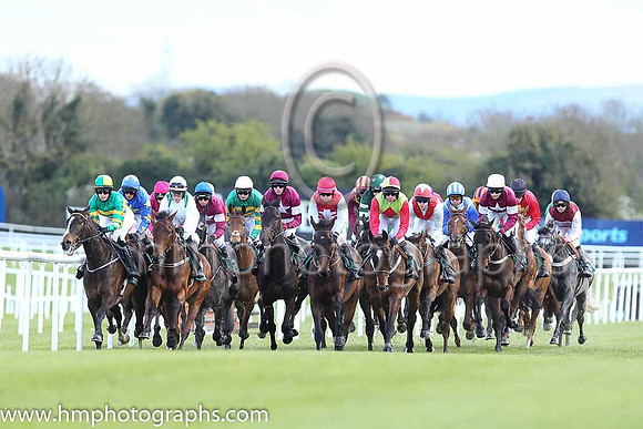 Goffs Land Rover Bumper INH Flat Race at Punchestown