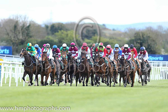 Goffs Land Rover Bumper INH Flat Race at Punchestown