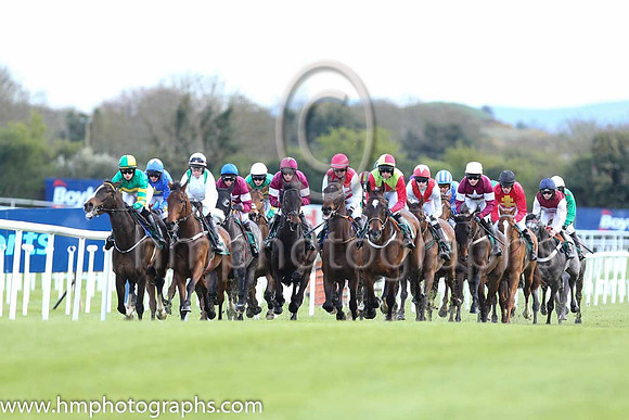 Goffs Land Rover Bumper INH Flat Race at Punchestown
