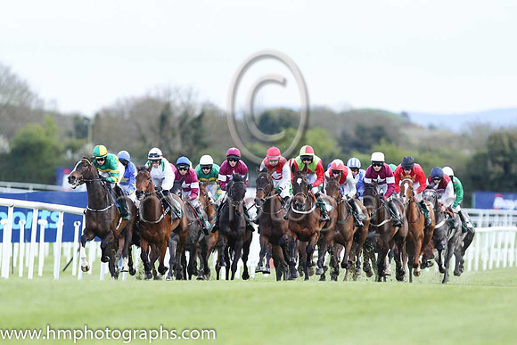 Goffs Land Rover Bumper INH Flat Race at Punchestown