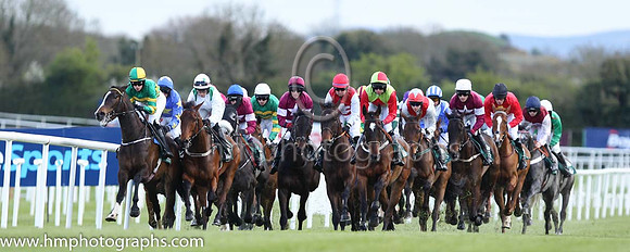 Goffs Land Rover Bumper INH Flat Race at Punchestown