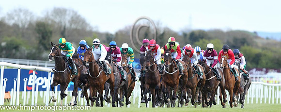 Goffs Land Rover Bumper INH Flat Race at Punchestown