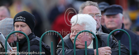 Spectators at Punchestown