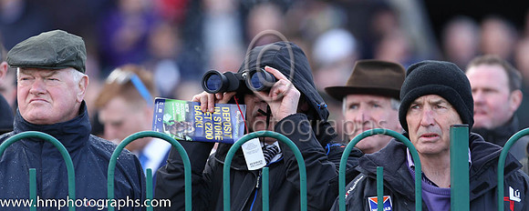 Spectators at Punchestown