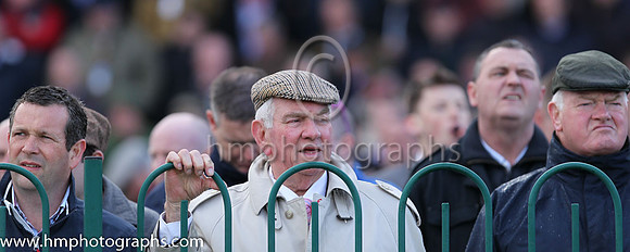 Spectators at Punchestown