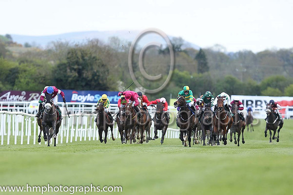 01st Petit Mouchoir (FR) ( 12 , maroon, white star ) and - Trainer : Gordon Elliott - Owner : Gigginstown House Stud