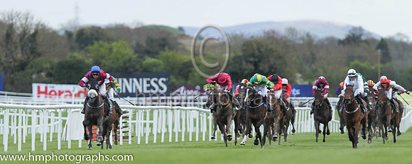 01st Petit Mouchoir (FR) ( 12 , maroon, white star ) and - Trainer : Gordon Elliott - Owner : Gigginstown House Stud