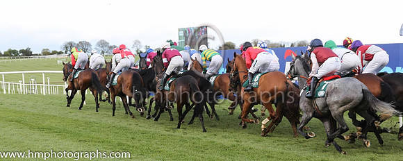 Goffs Land Rover Bumper INH Flat Race at Punchestown