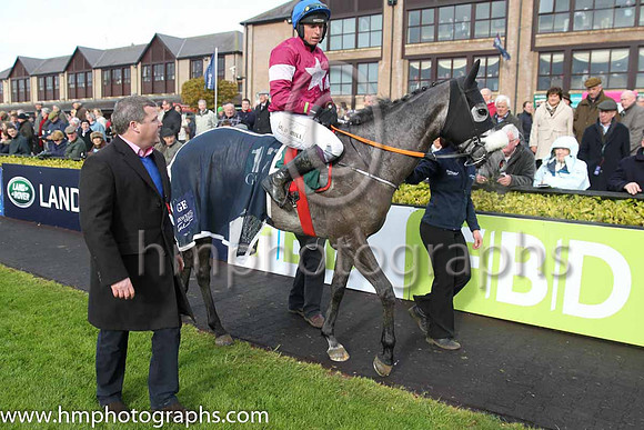 01st Petit Mouchoir (FR) ( 12 , maroon, white star ) and J J Codd - Trainer : Gordon Elliott - Owner : Gigginstown House Stud