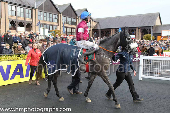 01st Petit Mouchoir (FR) ( 12 , maroon, white star ) and J J Codd - Trainer : Gordon Elliott - Owner : Gigginstown House Stud