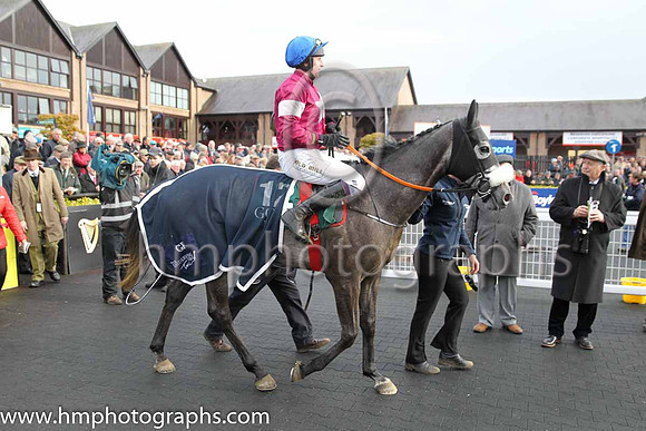 01st Petit Mouchoir (FR) ( 12 , maroon, white star ) and J J Codd - Trainer : Gordon Elliott - Owner : Gigginstown House Stud