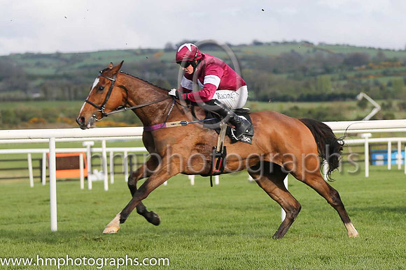05th Don Poli ( 2 , maroon, white star ) and B.J. Cooper - Trainer : W.P. Mullins - Owner : Gigginstown House Stud