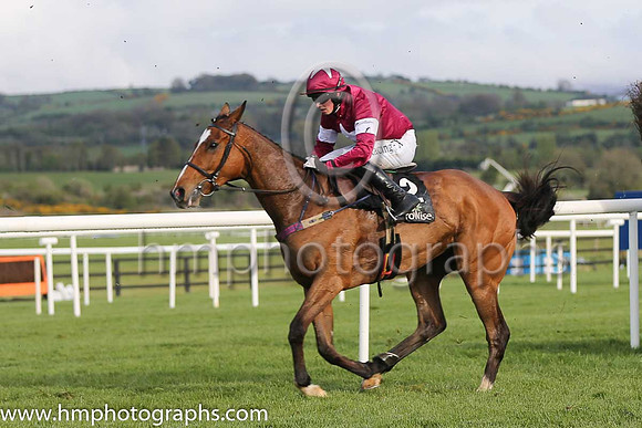 05th Don Poli ( 2 , maroon, white star ) and B.J. Cooper - Trainer : W.P. Mullins - Owner : Gigginstown House Stud