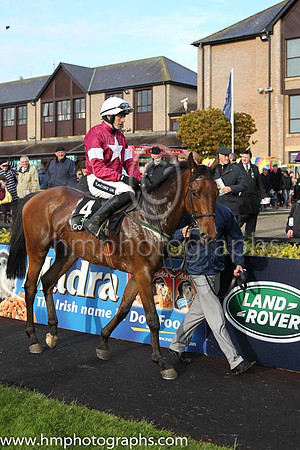 01st Valseur Lido (FR) ( 4 , maroon, white star ) and R. Walsh - Trainer : W.P. Mullins - Owner : Gigginstown House Stud